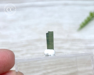 Hollow Green Tourmaline Crystal - Barra do Salinas #11