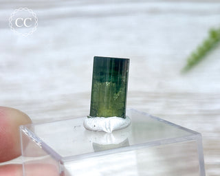Hollow Green Tourmaline Crystal - Barra do Salinas #2
