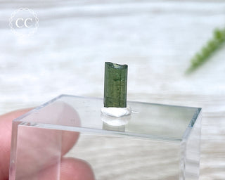 Hollow Green Tourmaline Crystal - Barra do Salinas #12