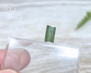 Hollow Green Tourmaline Crystal - Barra do Salinas #12