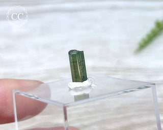 Hollow Green Tourmaline Crystal - Barra do Salinas #12