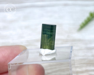 Hollow Green Tourmaline Crystal - Barra do Salinas #2