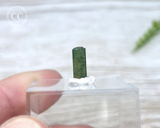 Hollow Green Tourmaline Crystal - Barra do Salinas #12