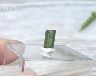 Hollow Green Tourmaline Crystal - Barra do Salinas #12