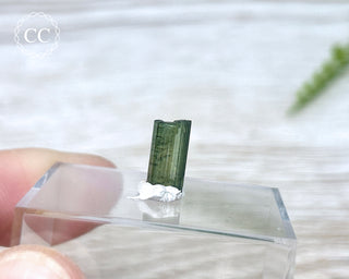 Hollow Green Tourmaline Crystal - Barra do Salinas #12