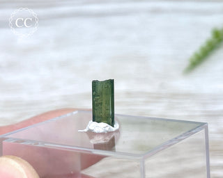 Hollow Green Tourmaline Crystal - Barra do Salinas #12
