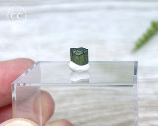 Hollow Green Tourmaline Crystal - Barra do Salinas #13