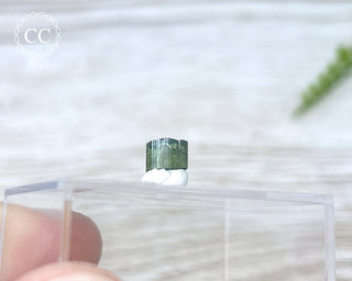 Hollow Green Tourmaline Crystal - Barra do Salinas #13