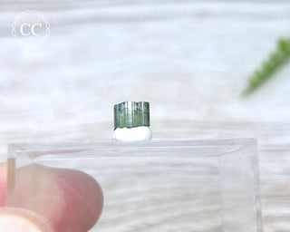 Hollow Green Tourmaline Crystal - Barra do Salinas #13