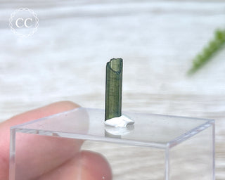 Hollow Green Tourmaline Crystal - Barra do Salinas #14