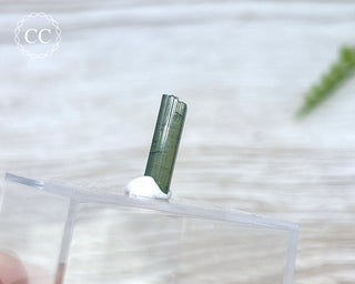 Hollow Green Tourmaline Crystal - Barra do Salinas #14