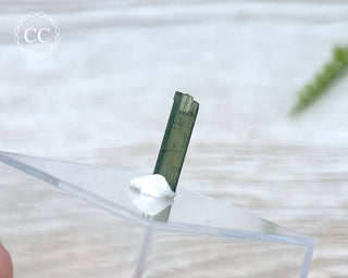 Hollow Green Tourmaline Crystal - Barra do Salinas #14