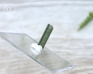 Hollow Green Tourmaline Crystal - Barra do Salinas #14