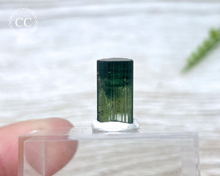 Hollow Green Tourmaline Crystal - Barra do Salinas #2