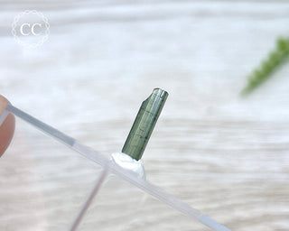 Hollow Green Tourmaline Crystal - Barra do Salinas #14