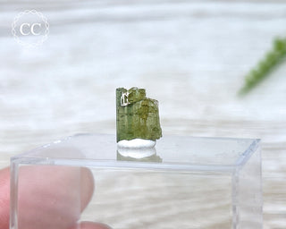 Hollow Green Tourmaline Crystal - Barra do Salinas #15
