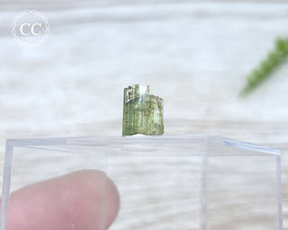 Hollow Green Tourmaline Crystal - Barra do Salinas #15