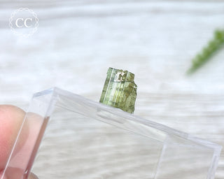 Hollow Green Tourmaline Crystal - Barra do Salinas #15