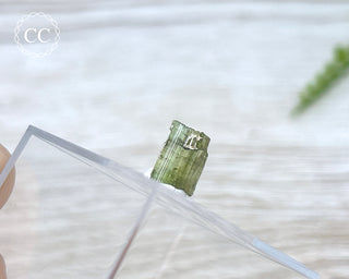 Hollow Green Tourmaline Crystal - Barra do Salinas #15