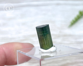 Hollow Green Tourmaline Crystal - Barra do Salinas #2
