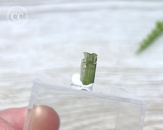 Hollow Green Tourmaline Crystal - Barra do Salinas #15