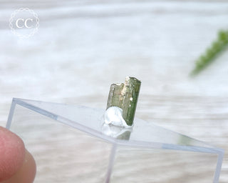 Hollow Green Tourmaline Crystal - Barra do Salinas #15