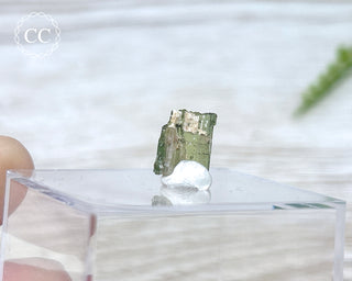 Hollow Green Tourmaline Crystal - Barra do Salinas #15
