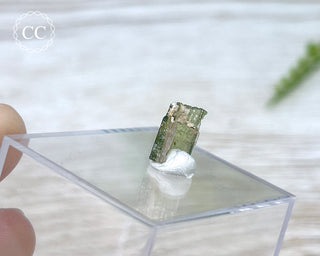 Hollow Green Tourmaline Crystal - Barra do Salinas #15