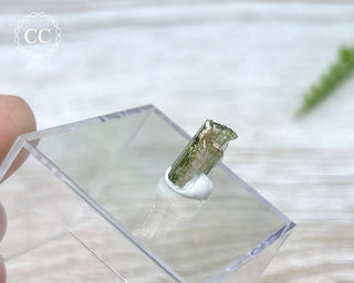 Hollow Green Tourmaline Crystal - Barra do Salinas #15