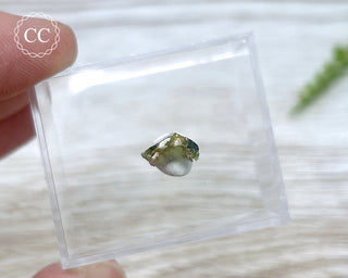 Hollow Green Tourmaline Crystal - Barra do Salinas #15