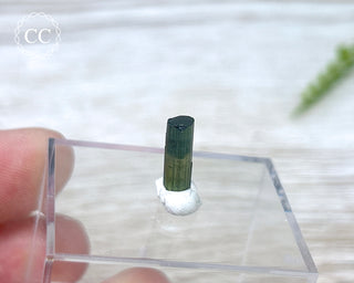 Hollow Green Tourmaline Crystal - Barra do Salinas #1