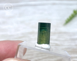 Hollow Green Tourmaline Crystal - Barra do Salinas #2