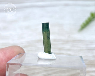 Hollow Green Tourmaline Crystal - Barra do Salinas #3