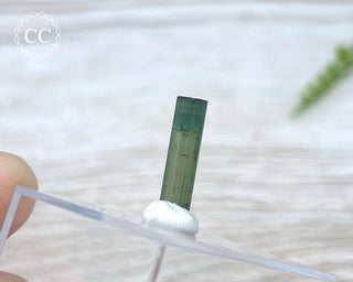 Hollow Green Tourmaline Crystal - Barra do Salinas #3
