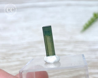 Hollow Green Tourmaline Crystal - Barra do Salinas #3