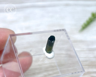 Hollow Green Tourmaline Crystal - Barra do Salinas #1
