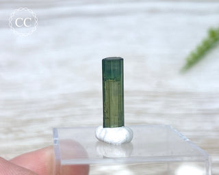 Hollow Green Tourmaline Crystal - Barra do Salinas #3