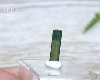 Hollow Green Tourmaline Crystal - Barra do Salinas #3