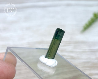 Hollow Green Tourmaline Crystal - Barra do Salinas #3