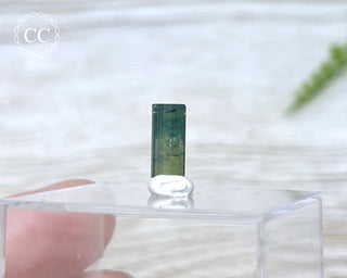 Hollow Green Tourmaline Crystal - Barra do Salinas #4