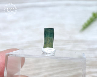 Hollow Green Tourmaline Crystal - Barra do Salinas #4