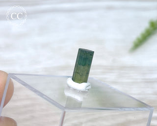 Hollow Green Tourmaline Crystal - Barra do Salinas #4