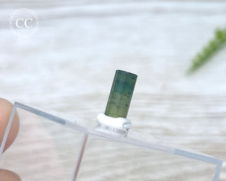 Hollow Green Tourmaline Crystal - Barra do Salinas #4