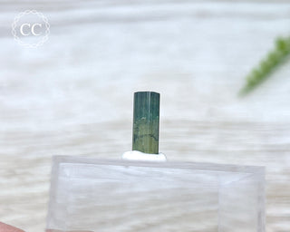 Hollow Green Tourmaline Crystal - Barra do Salinas #4