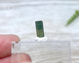 Hollow Green Tourmaline Crystal - Barra do Salinas #1