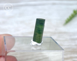 Hollow Green Tourmaline Crystal - Barra do Salinas #5