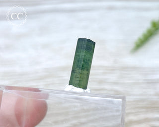 Hollow Green Tourmaline Crystal - Barra do Salinas #5