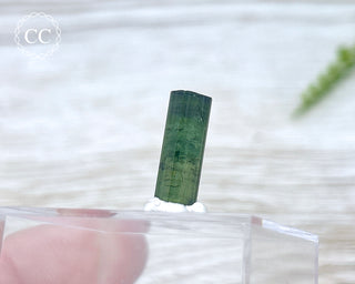 Hollow Green Tourmaline Crystal - Barra do Salinas #5