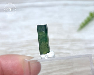 Hollow Green Tourmaline Crystal - Barra do Salinas #5