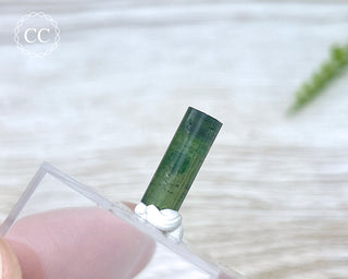 Hollow Green Tourmaline Crystal - Barra do Salinas #5